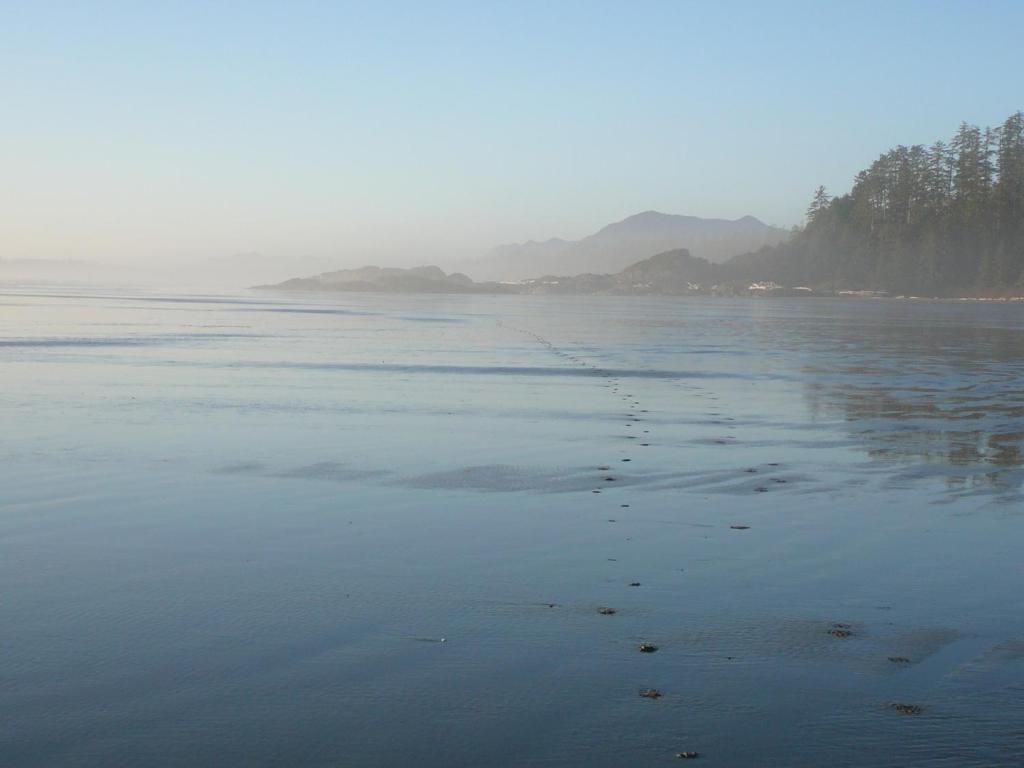 Apartament 203 At Water'S Edge Ucluelet Zewnętrze zdjęcie